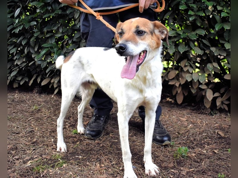 Kamyll - Der Platz neben dir