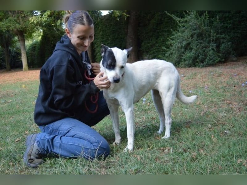 Camellia - Notfall - Was wäre gewesen, wenn ...