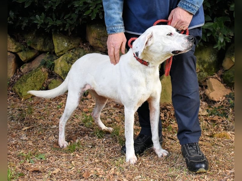 Olindina - Wie gut du bist, das zeigt sich an schlechten Tagen