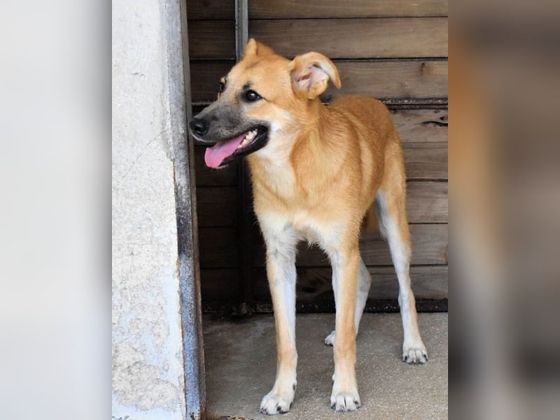 Osita - "Und wenn sie nicht weg sind.....