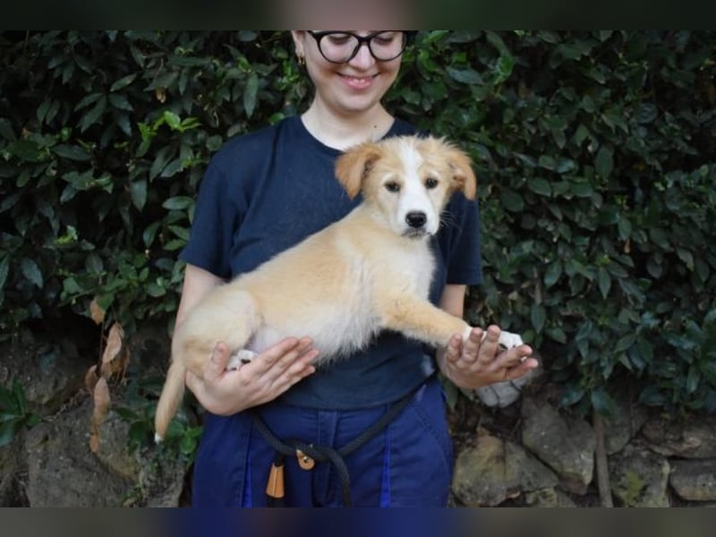 Marula - ...und Mama konnte es dir nicht zeigen