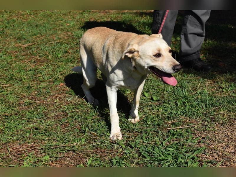Hughie - macht ein Freundschaftsangebot