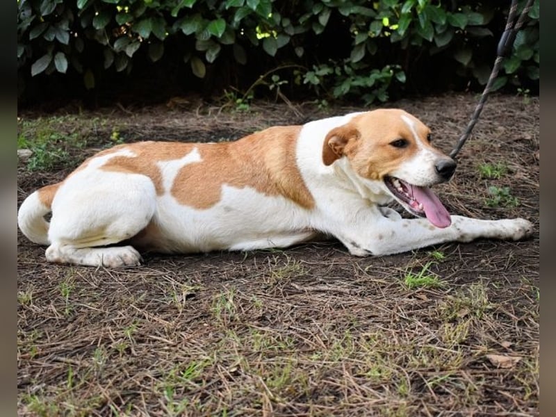 Zela - Z wie Zuckersüß und Zauberhaft