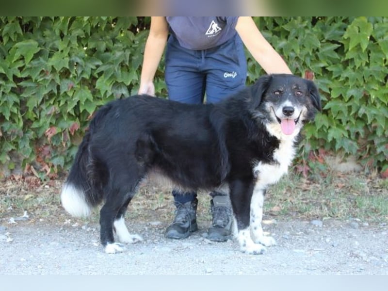 Carmine - Bereit für den Neustart