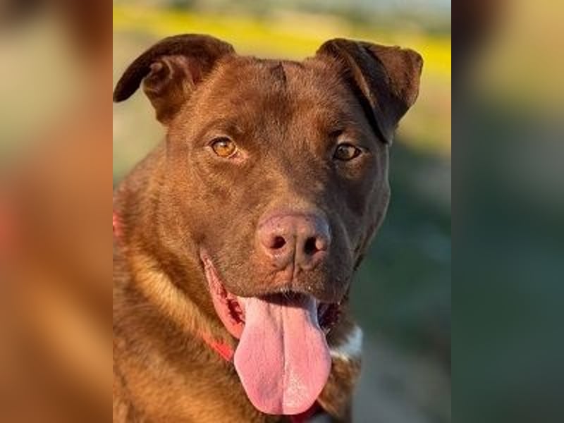 Birdy - Ich glaube, es wird Frühling