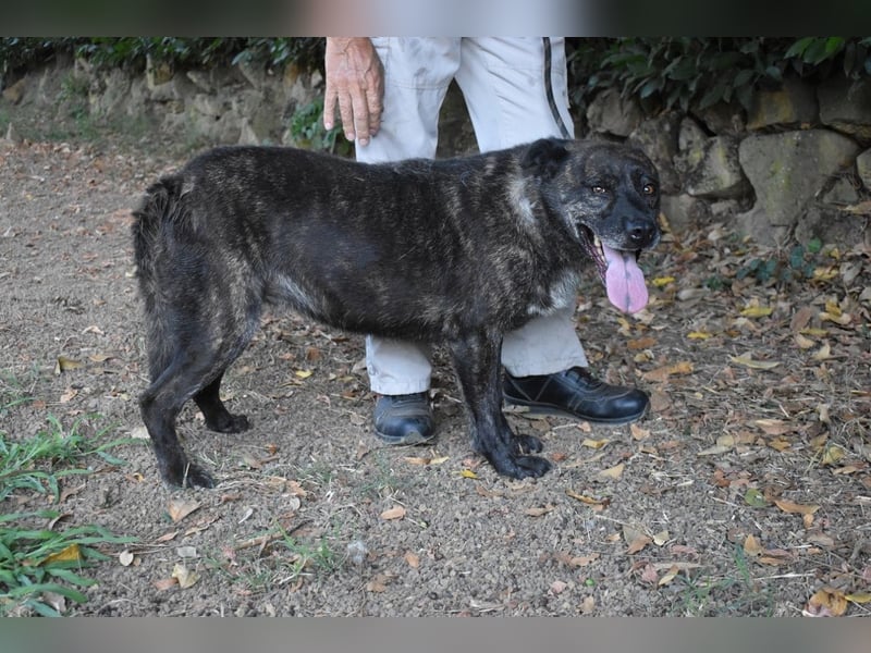 Fareeda - Wo die Schmetterlinge wohnen