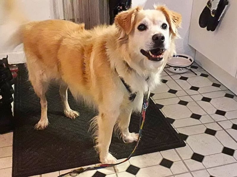 Alemix - Im zweiten Anlauf neuer Altersruhesitz gesucht