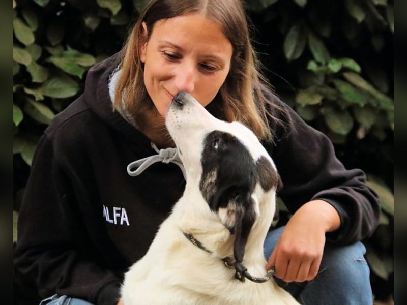 Marius - We proudly present...