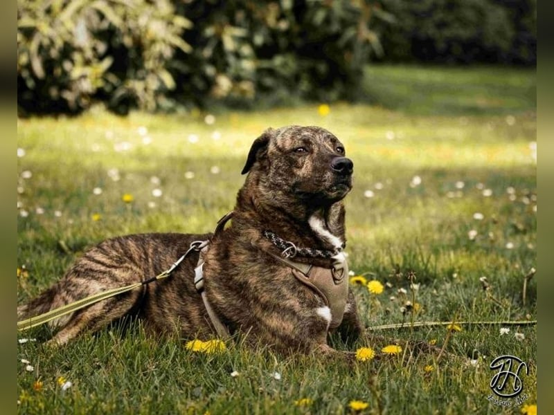 Ludwig - Nur Mädchen erlaubt