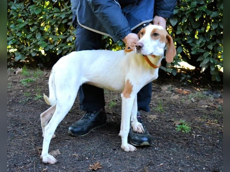 Samarie - Abenteuerlust und Kuschelzeit