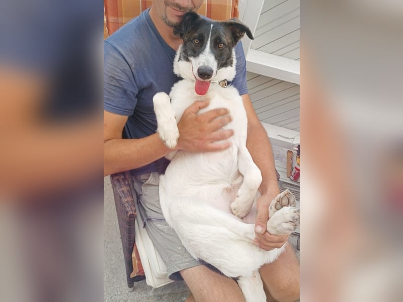 Fioretta - NOTFALL - 2. Lebensglück gesucht