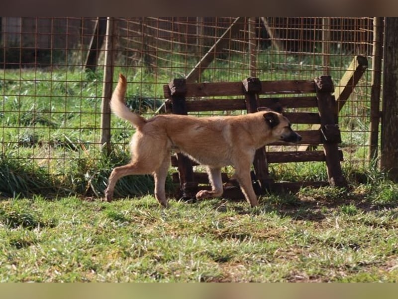 Life - Life will mehr vom Leben - und das zeigt er deutlich!