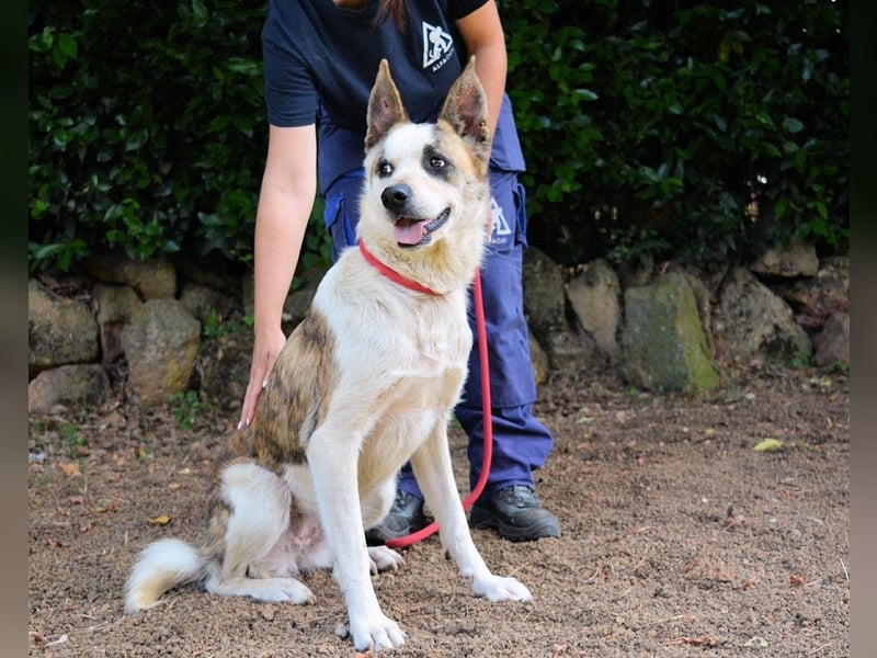 Milde - Ein Flüstern, das sagt: "Du bist sicher."