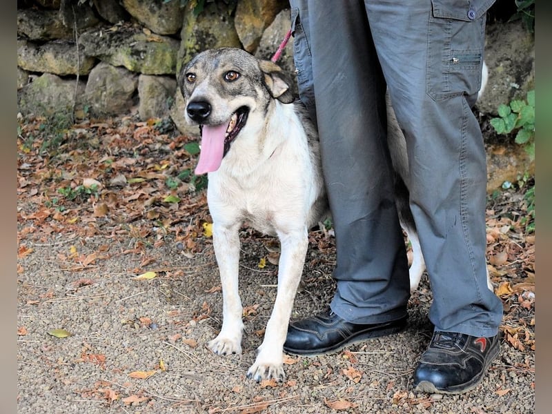 Helder - spricht für sich