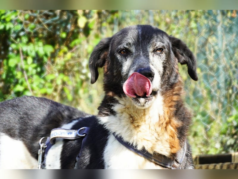 Cambiamento - lasst uns sein Leben verändern