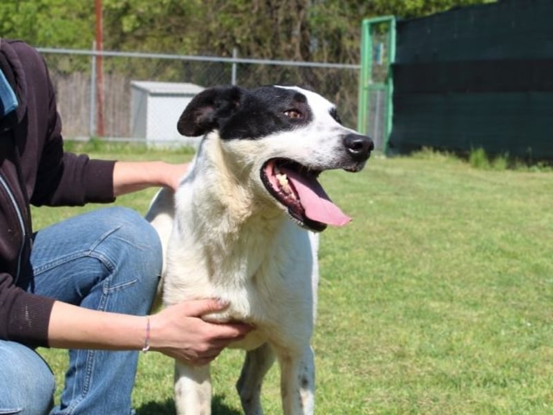 Florentino - Der hübscheste aller Batmans