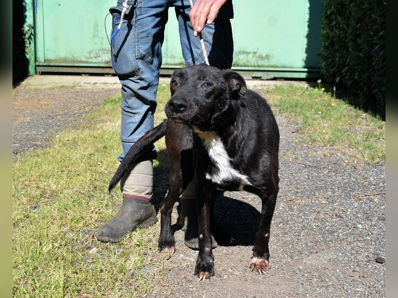 Rhino - NOTFALL !!! - Wenn man nicht auffällt, geht man unter