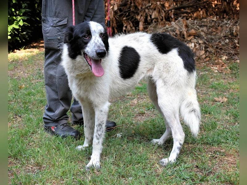 Jasmine - Wer nicht neugierig ist, erfährt nichts!