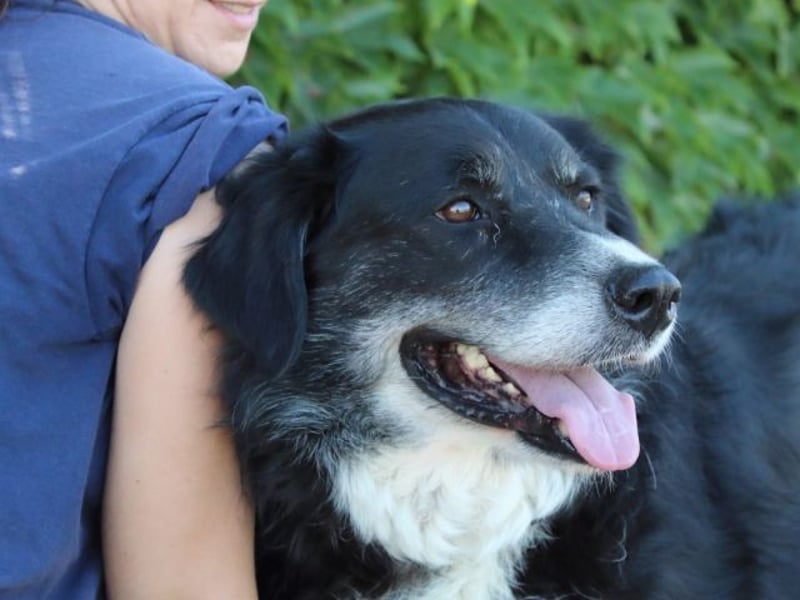 Carmine - Bereit für den Neustart