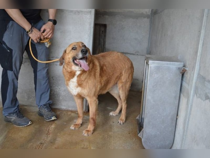 Kemp - Runder Rundum-Schatz