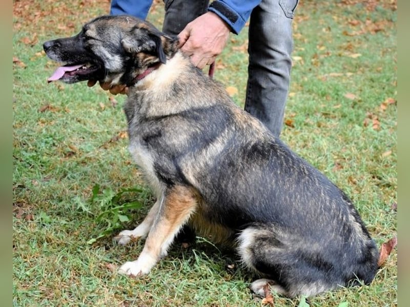 Silvana - im Eilschritt nach Hause?