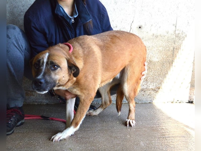 Sunitha - Drei Leben. Drei Chancen.