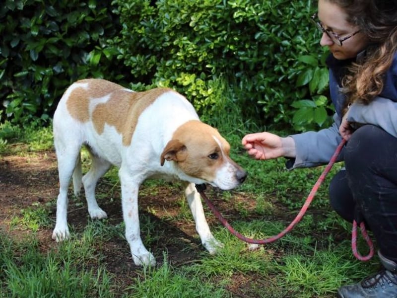 Zela - Z wie Zuckersüß und Zauberhaft