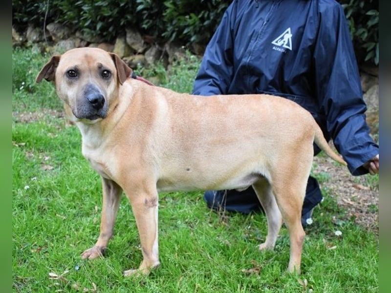 Meleagro - Die perfekte Morgenroutine Meleagro - Die perfekte Morgenroutine