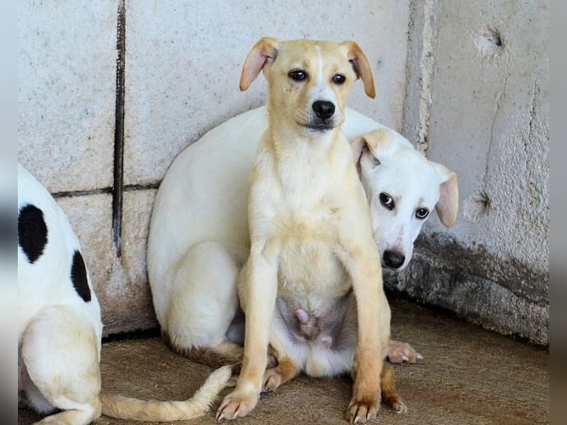 Radford - Ein Anfang, der nie kam