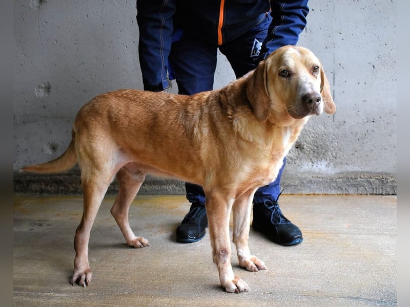 Dioneo - NOTFALL - Zeit heilt hier nichts