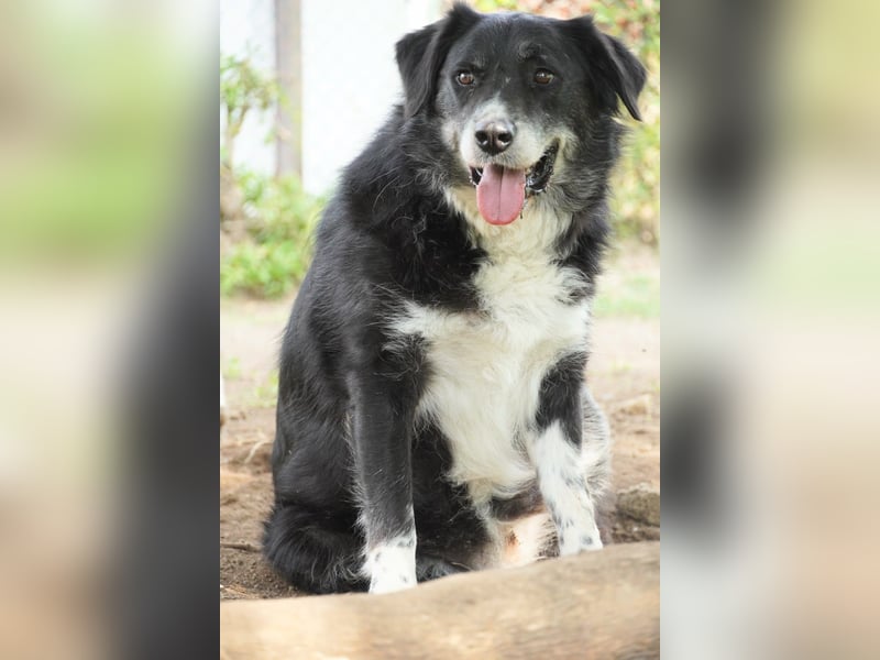 Carmine - Bereit für den Neustart