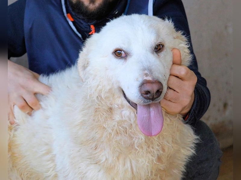 Abreena - Selbstbewusst, verspielt und voller Zuneigung