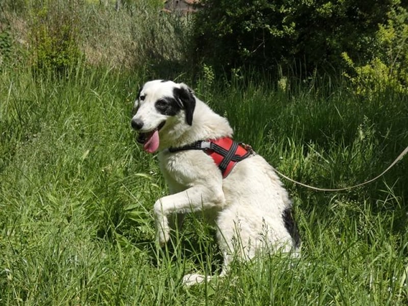 Marni - Dieses Herz hat schon zu lange gewartet