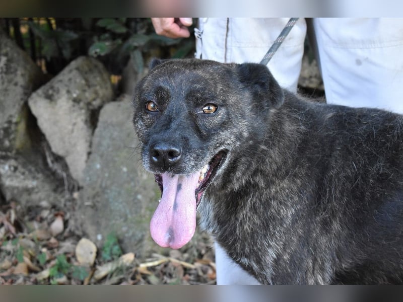 Fareeda - Wo die Schmetterlinge wohnen