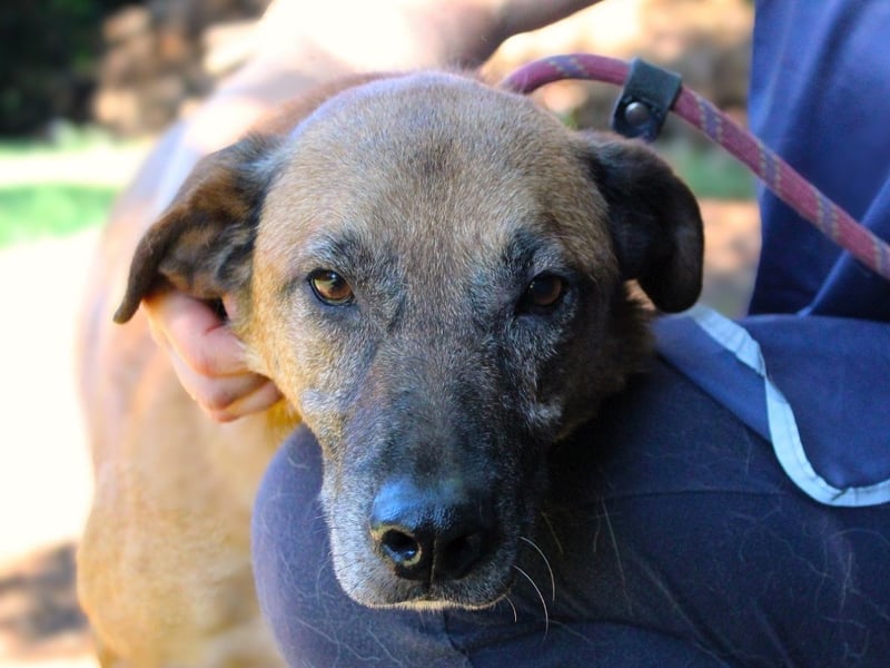 Nidal - Notfall - Was jetzt zählt