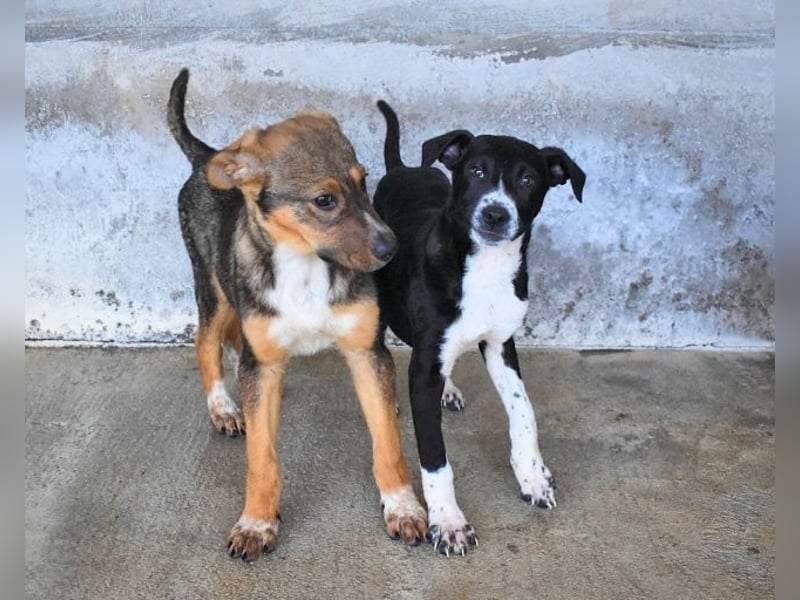 Mavette - Es soll DEIN Leben werden