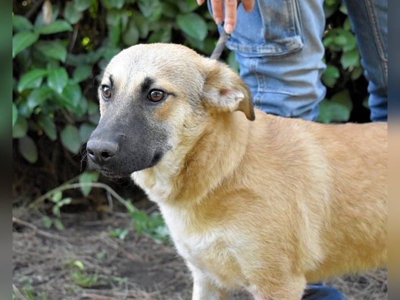 Zeebo - Z wie Zuckersüß und Zauberhaft