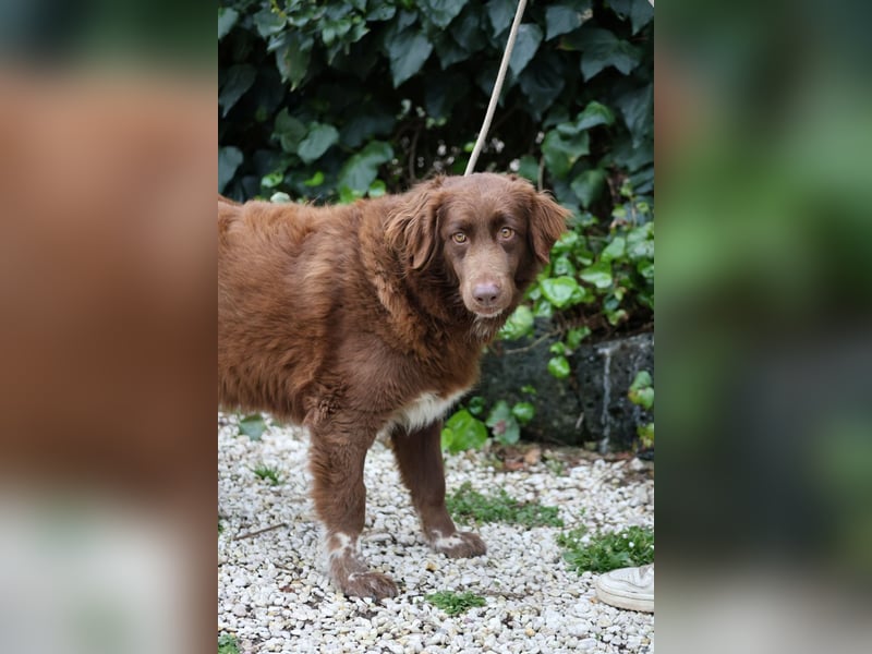 Beckey - Berufswunsch Prinzessin