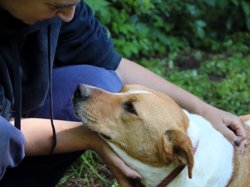 Zela - Z wie Zuckersüß und Zauberhaft