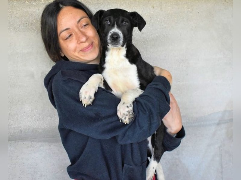 Mavette - Es soll DEIN Leben werden