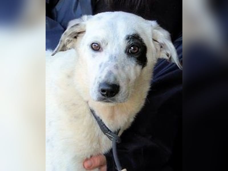 Arunny - aller guten Dinge sind drei