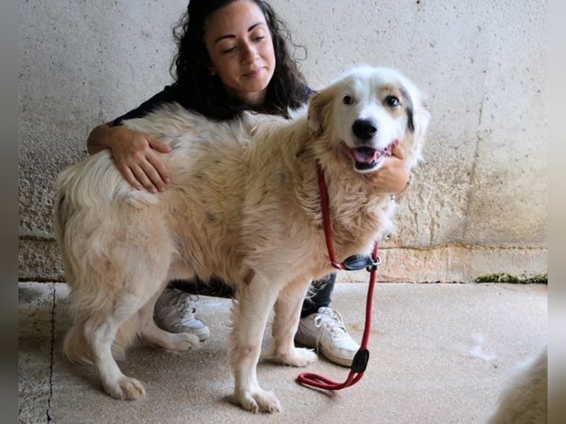 Bailoch - Zeig mir doch bitte...