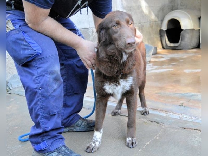 Beckey - Berufswunsch Prinzessin