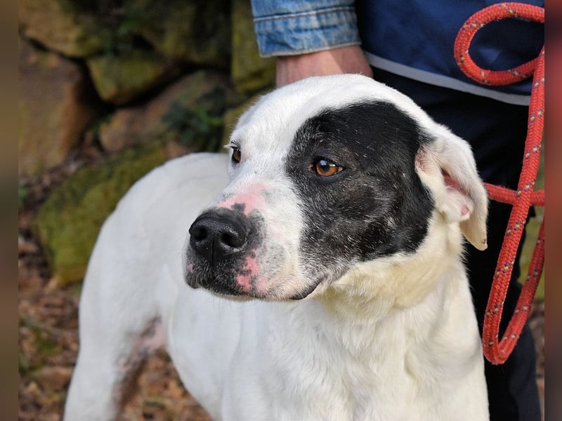 Olindina - Wie gut du bist, das zeigt sich an schlechten Tagen