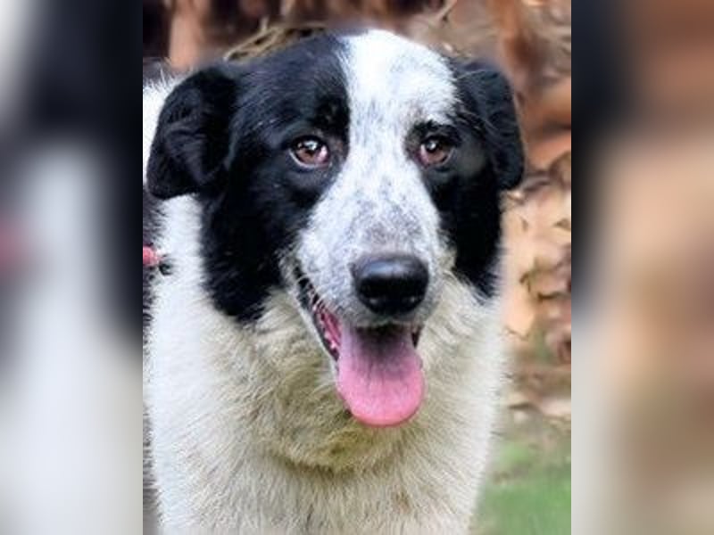 Jasmine - Wer nicht neugierig ist, erfährt nichts!