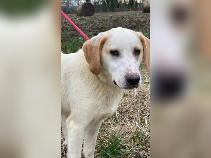 Deddy -  Mit neugierigen Pfoten ins Leben