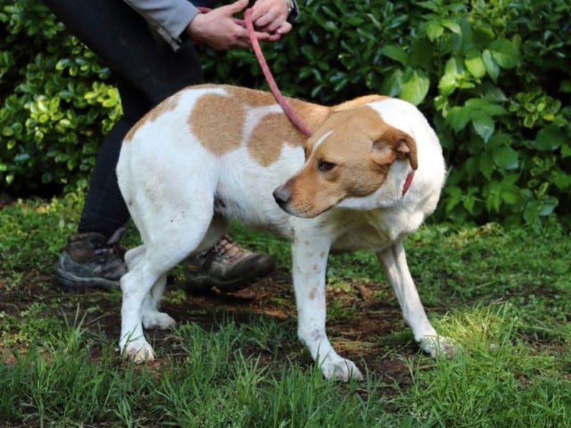 Zela - Z wie Zuckersüß und Zauberhaft