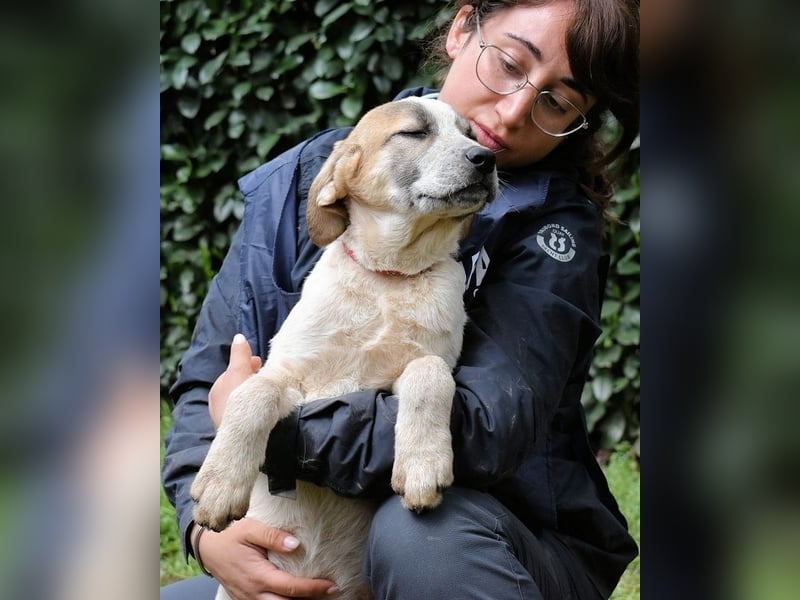 Solidea - 744 Stunden