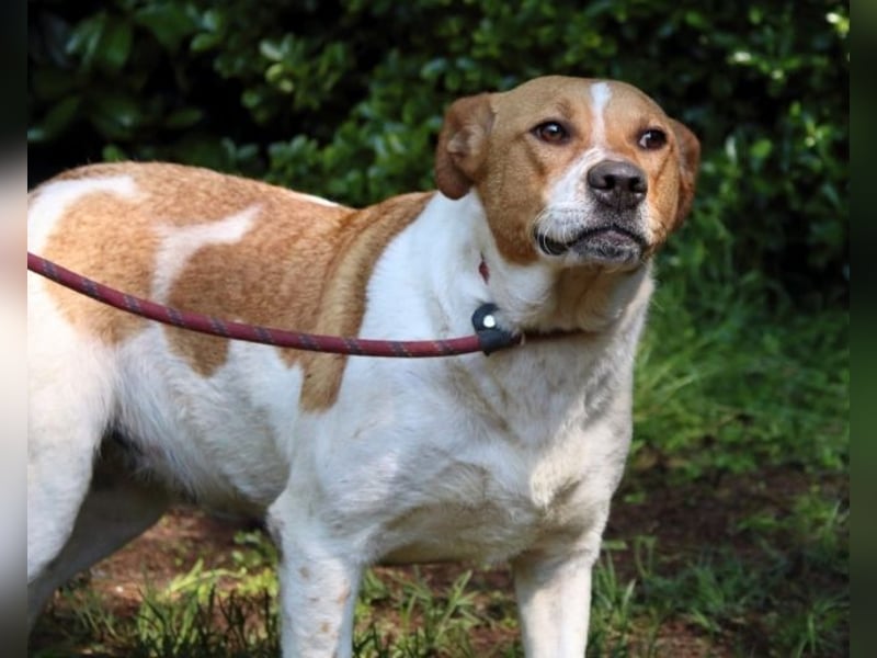 Zela - Z wie Zuckersüß und Zauberhaft