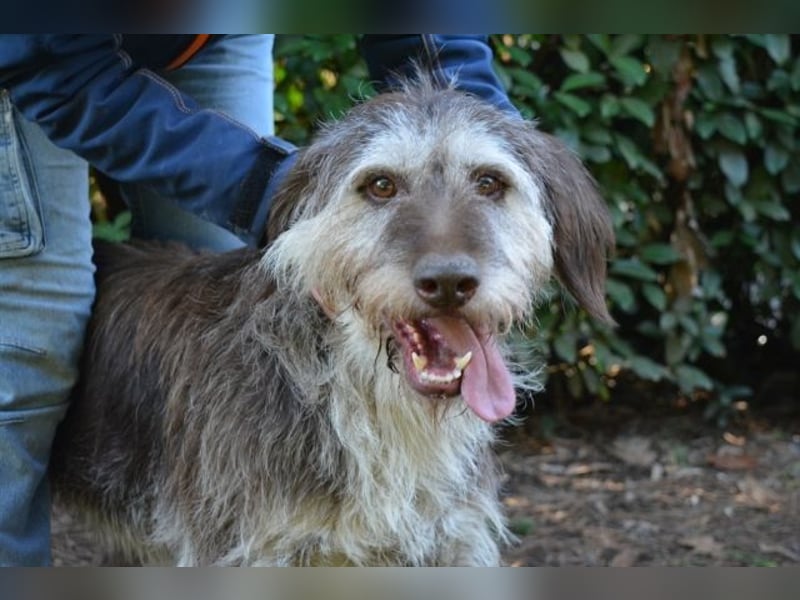 Minnie - Nach 7 Jahren Unglück endlich 7 Jahre Glück?